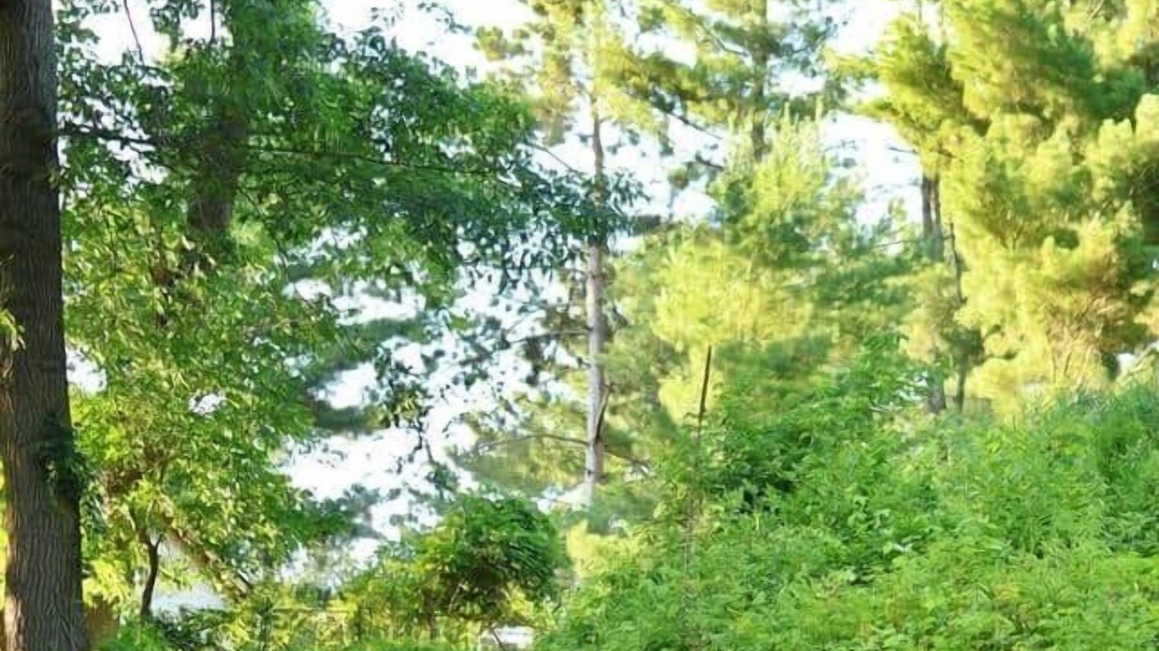 Photo of Others in Grantsburg