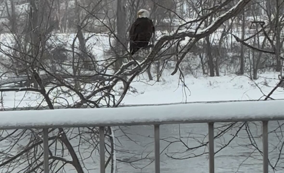 Photo of Outdoor in Fridley