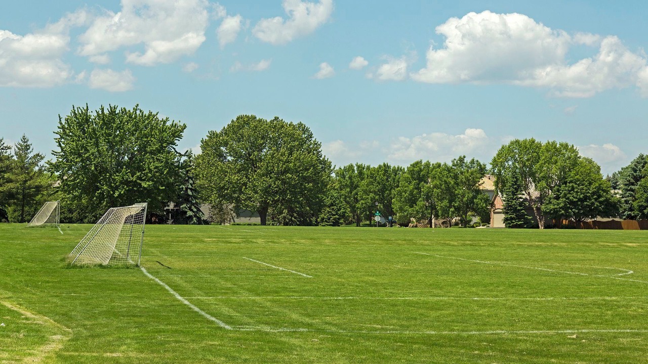 Photo of Others in Eden Prairie