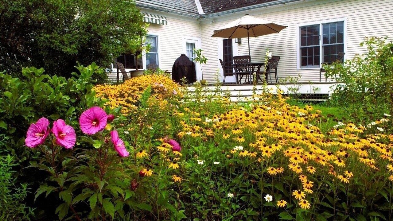 Photo of Outdoor in Addison