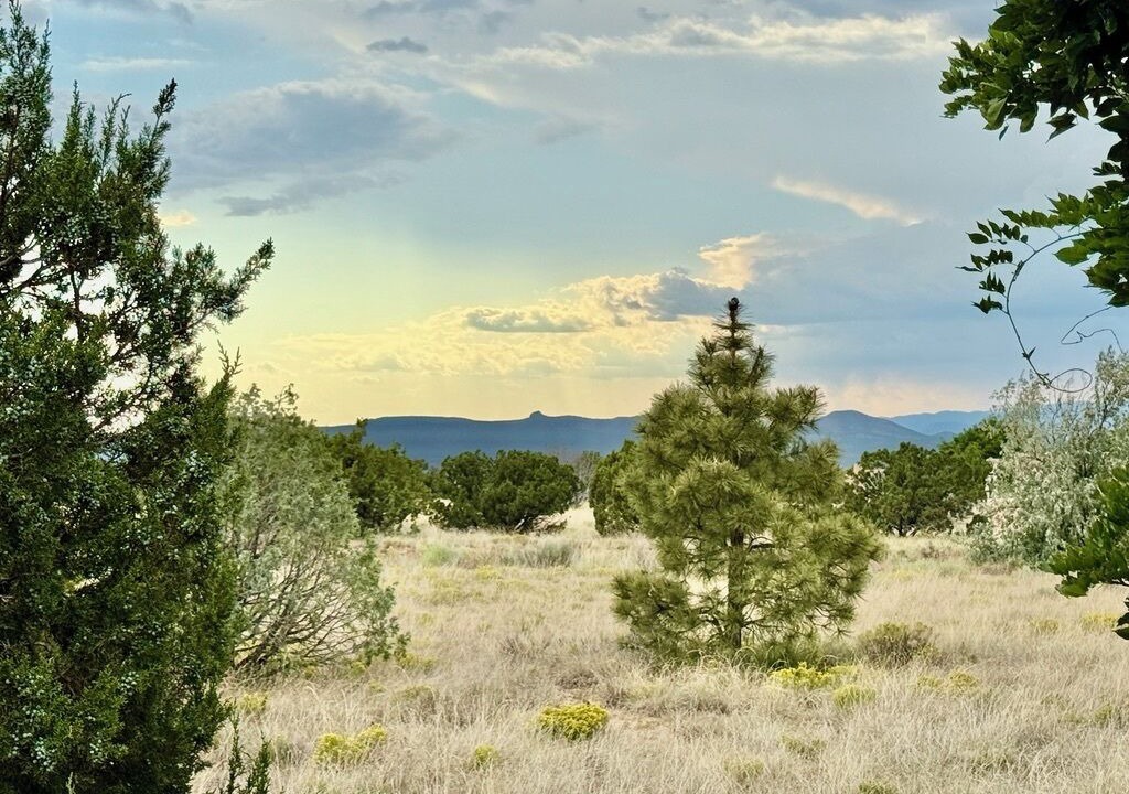 Photo of Others in Las Campanas
