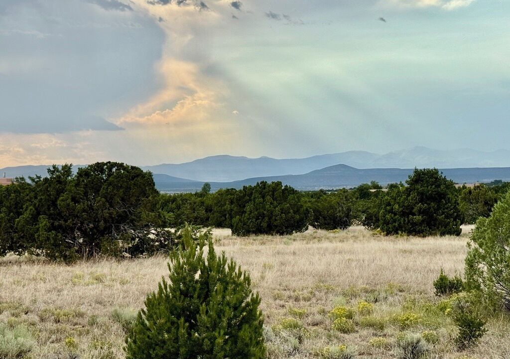 Photo of Others in Las Campanas