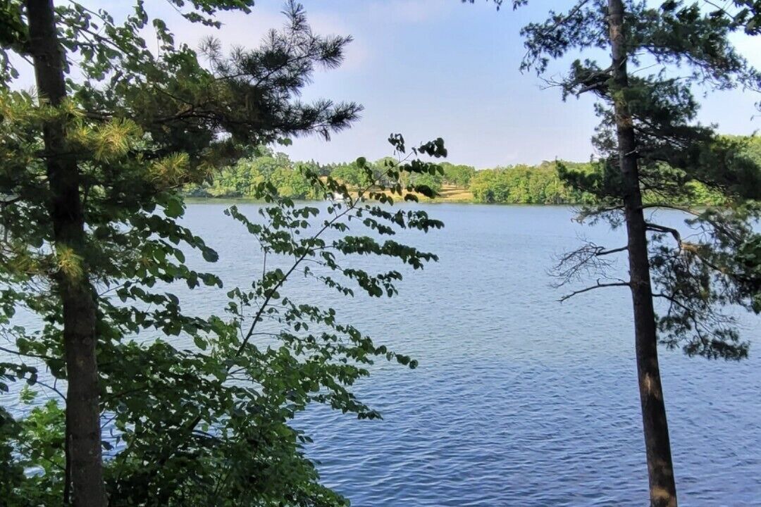Photo of Others in Turtle Lake