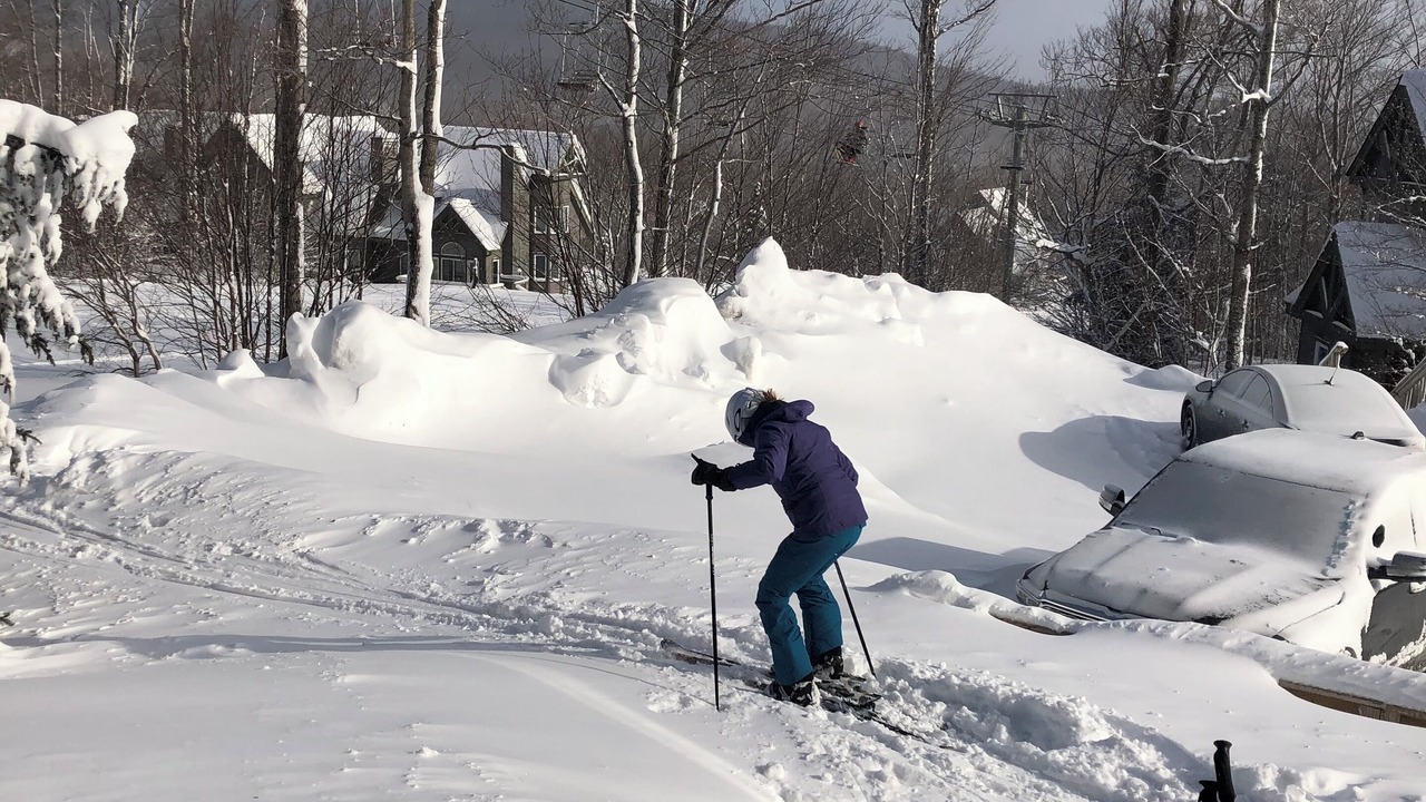 Photo of Others in North Troy