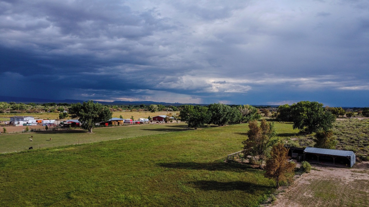 Photo of Others in Bosque