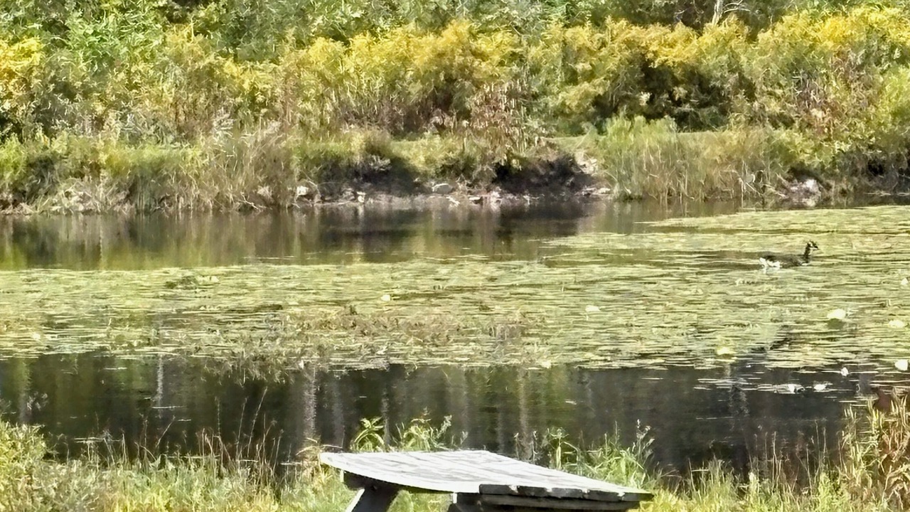Photo of Others in Fly Creek