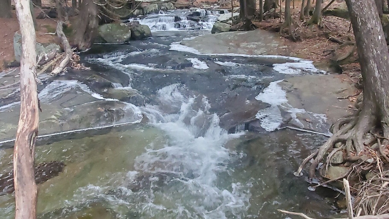 Photo of Others in Wilmington