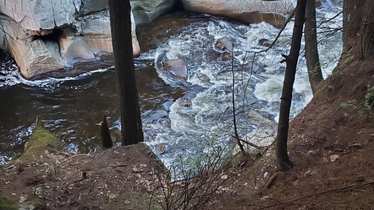 Photo of Others in Wilmington