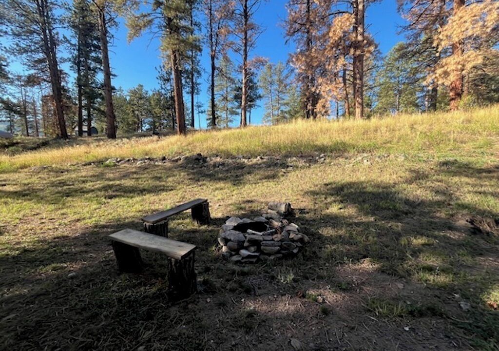 Photo of Outdoor in Ponderosa Pines