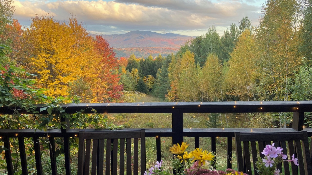 Photo of Outdoor in Stowe Area