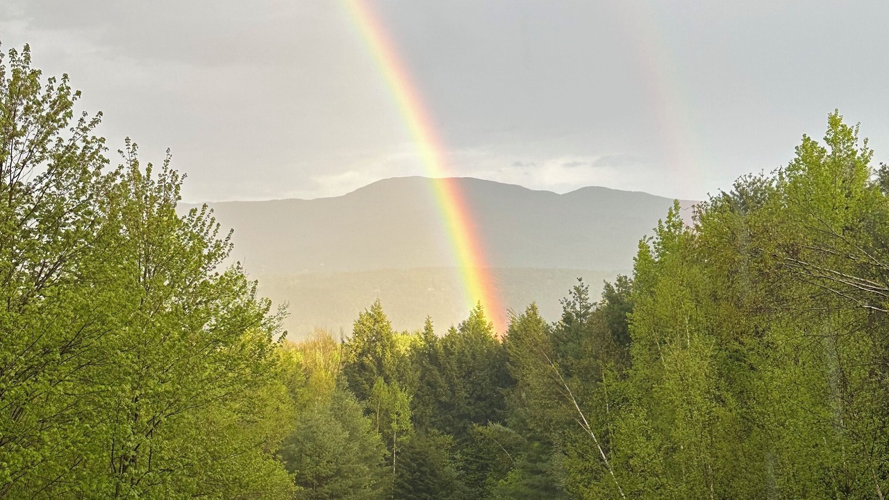 Photo of Others in Stowe Area