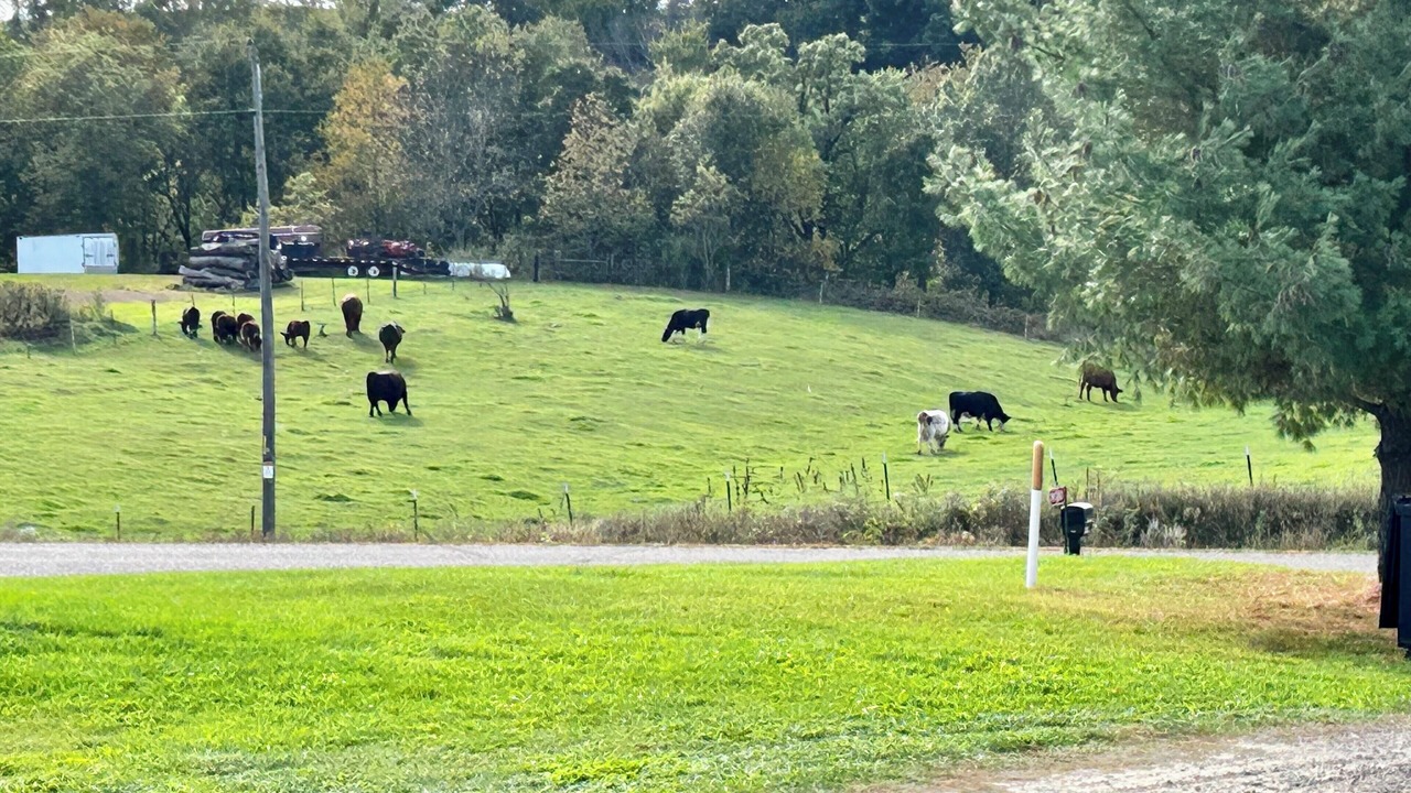 Photo of Outdoor in Hixton