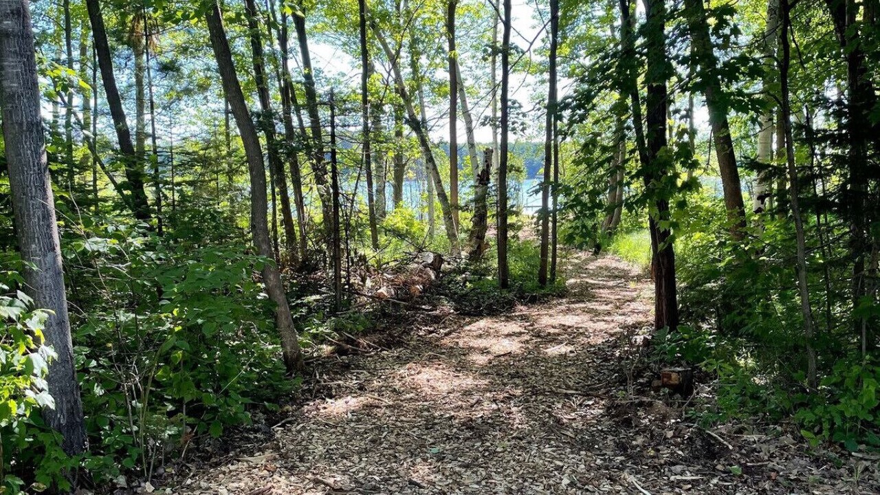 Photo of Others in Northwoods Beach
