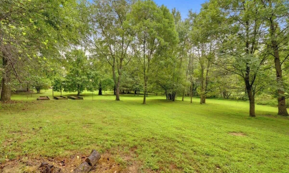 Photo of Outdoor in Blue Ridge