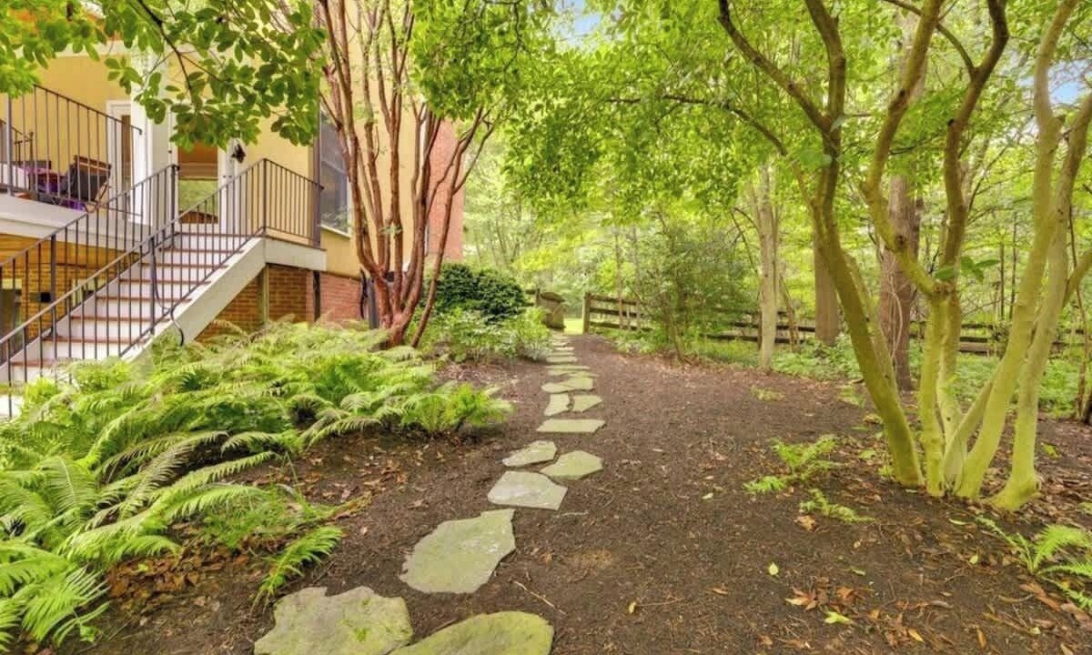 Photo of Outdoor in Blue Ridge