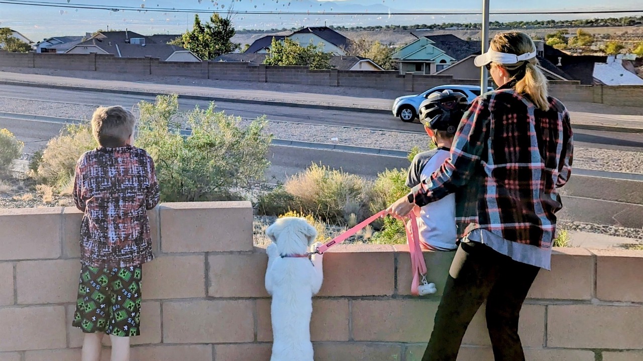 Photo of Others in Rio Rancho