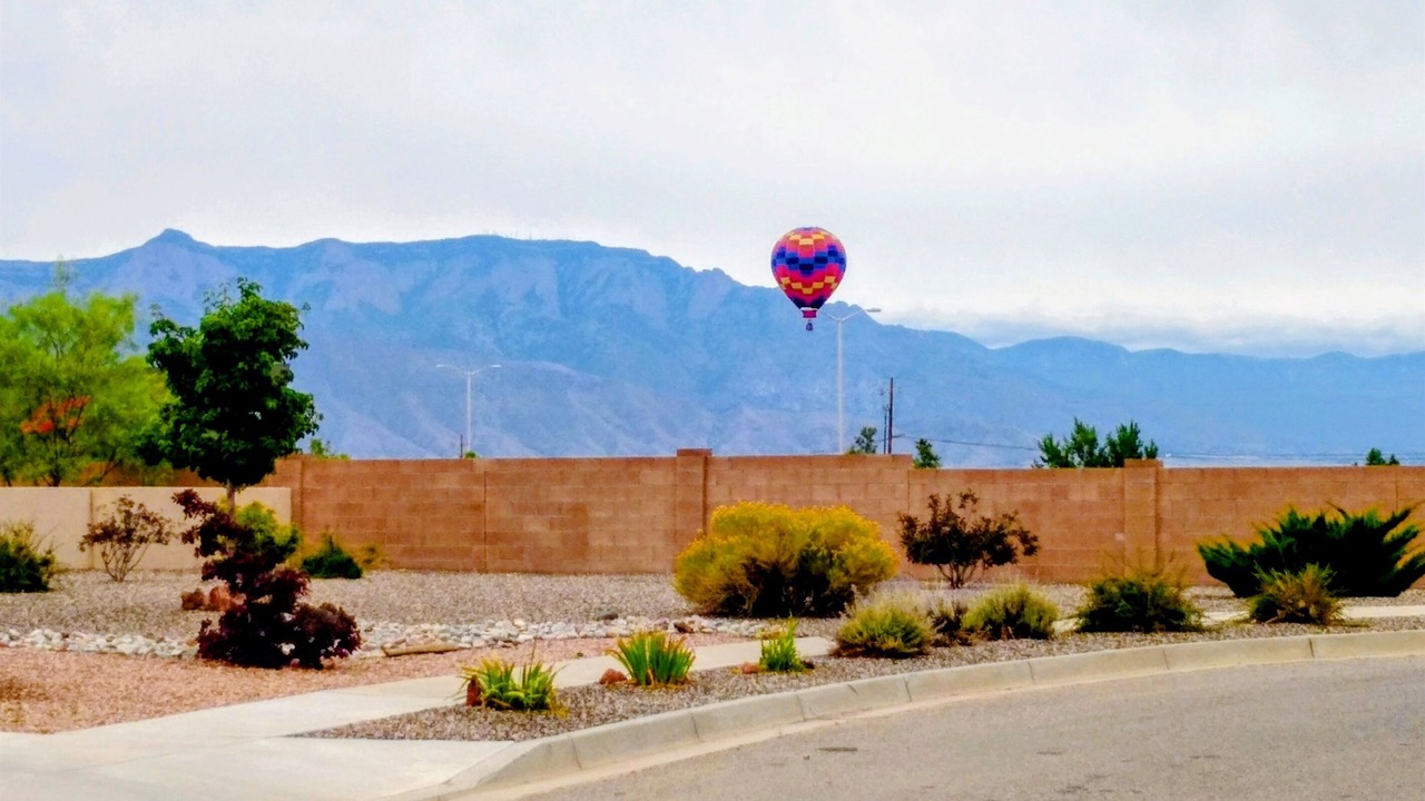 Photo of Others in Rio Rancho