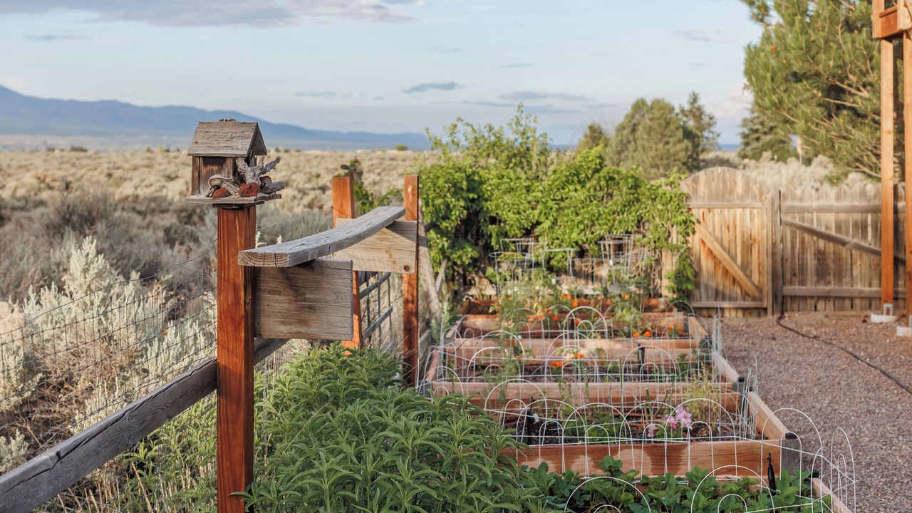 Photo of Outdoor in Taos