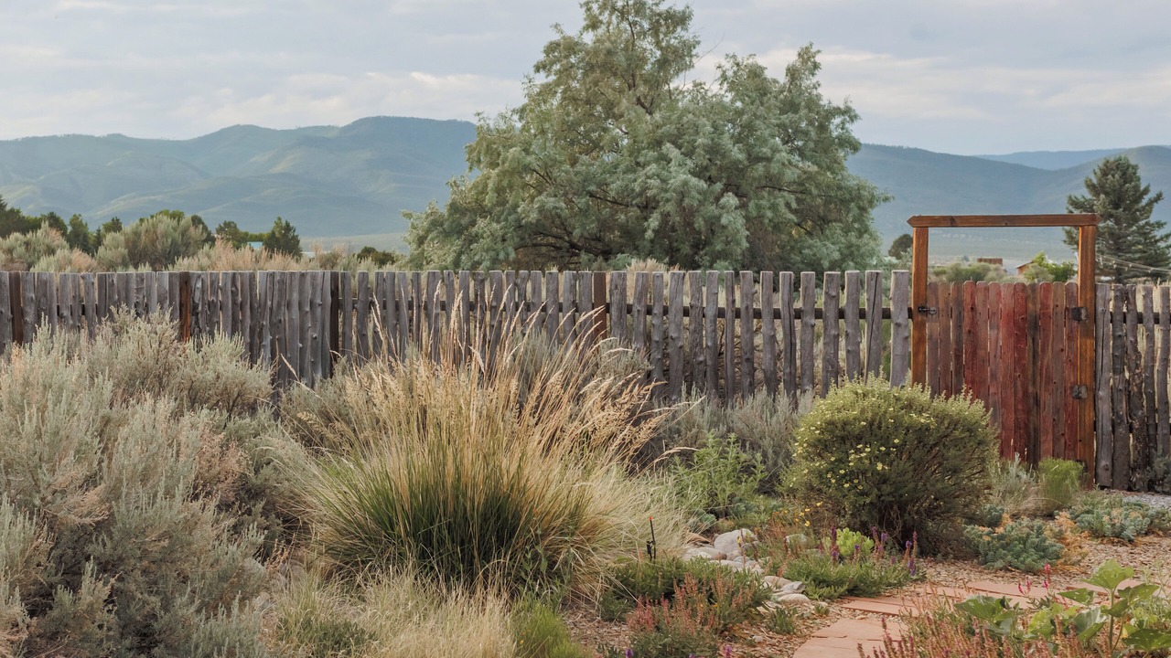 Photo of Outdoor in Taos