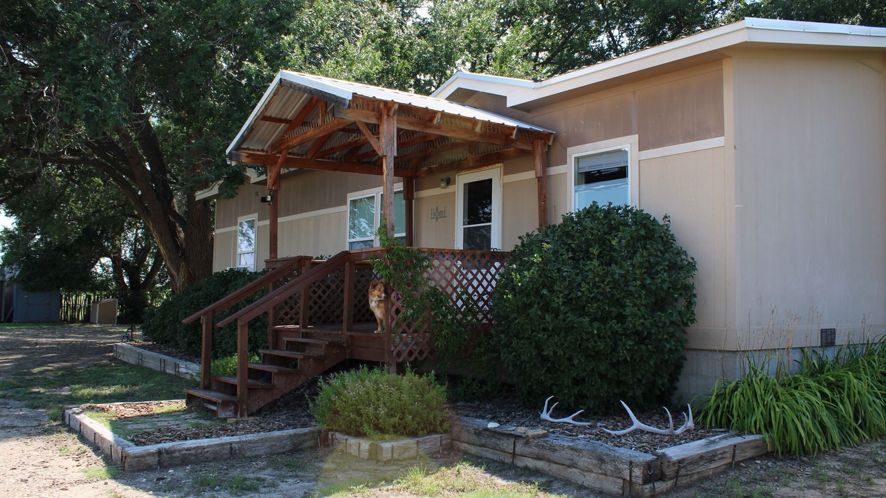 Photo of Outdoor in Springer
