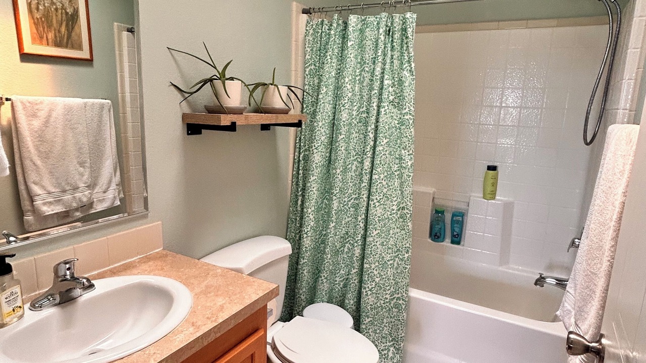 Photo of Bathroom in Springer