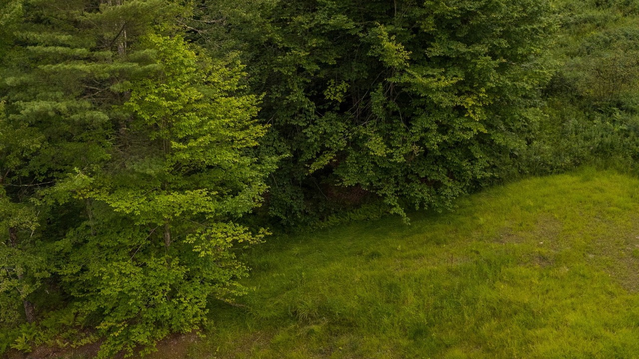 Photo of Outdoor in Moscow