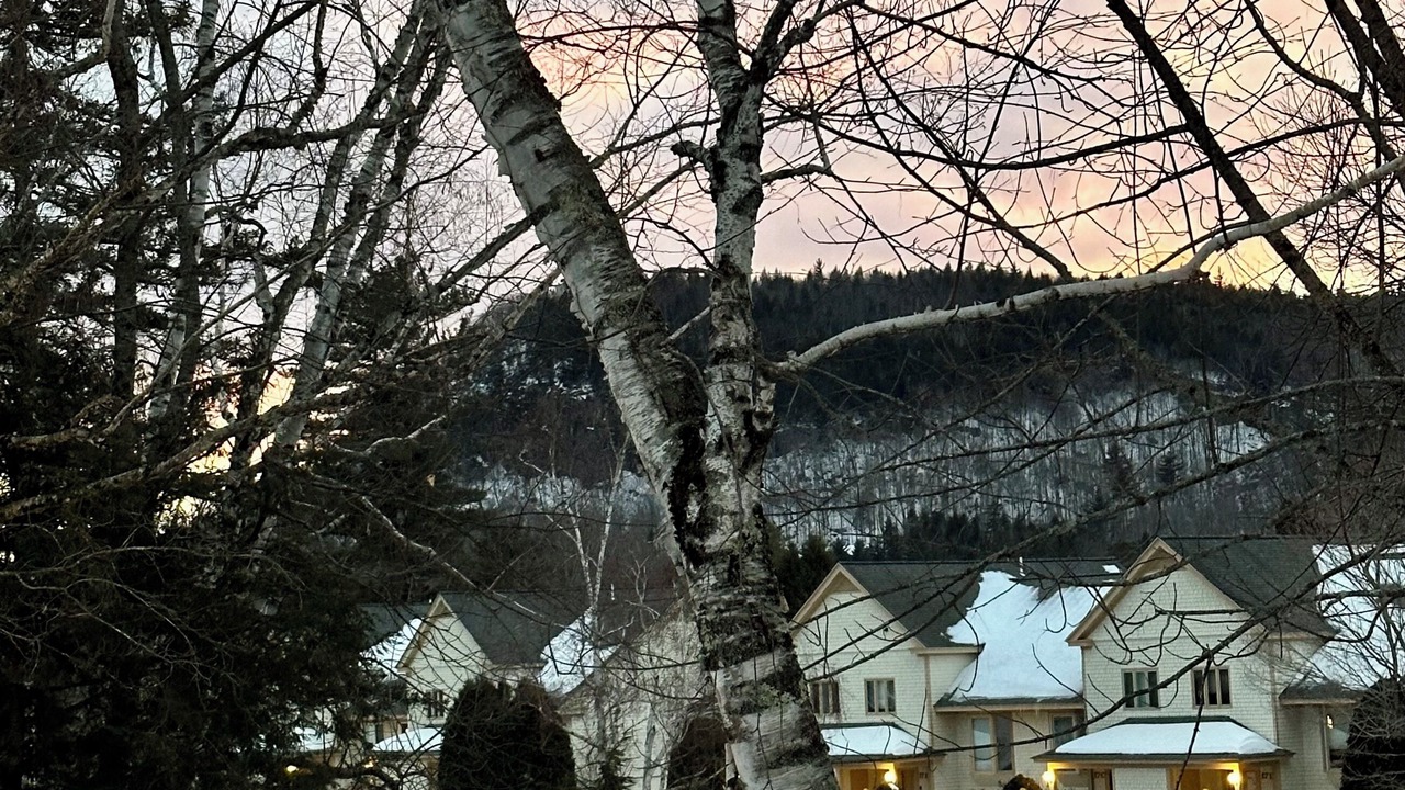 Photo of Outdoor in Jackson