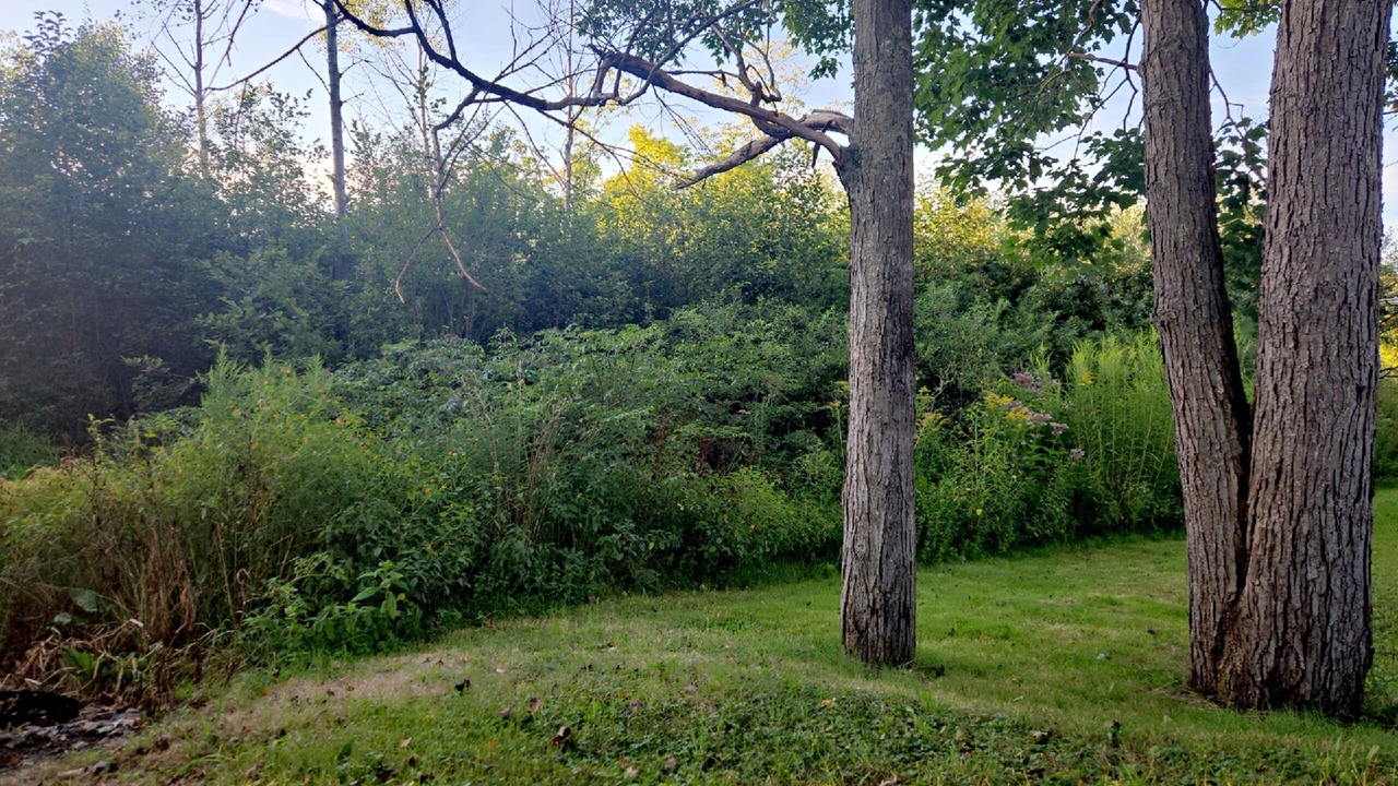 Photo of Outdoor in Grove City