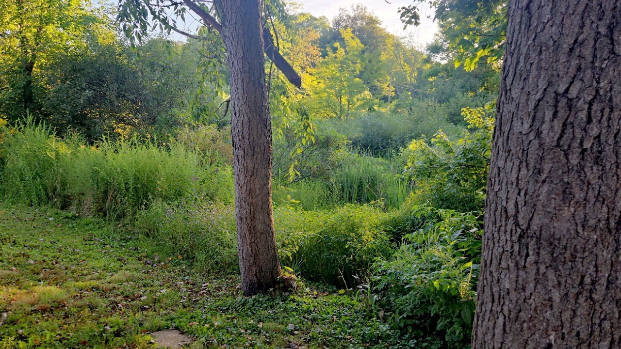 Photo of Others in Grove City
