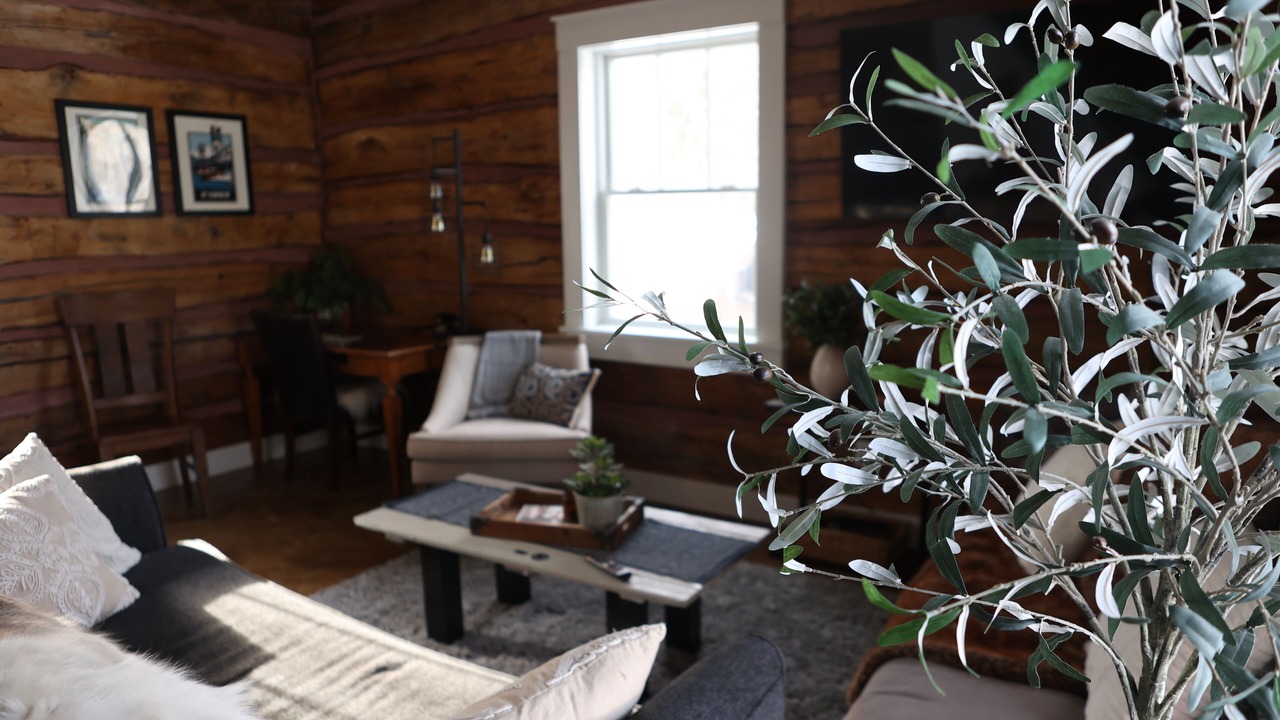 Photo of Livingroom in Scandia