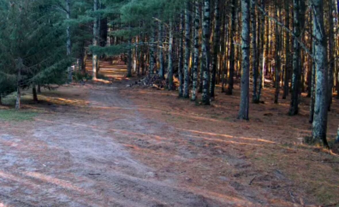 Photo of Outdoor in Spooner