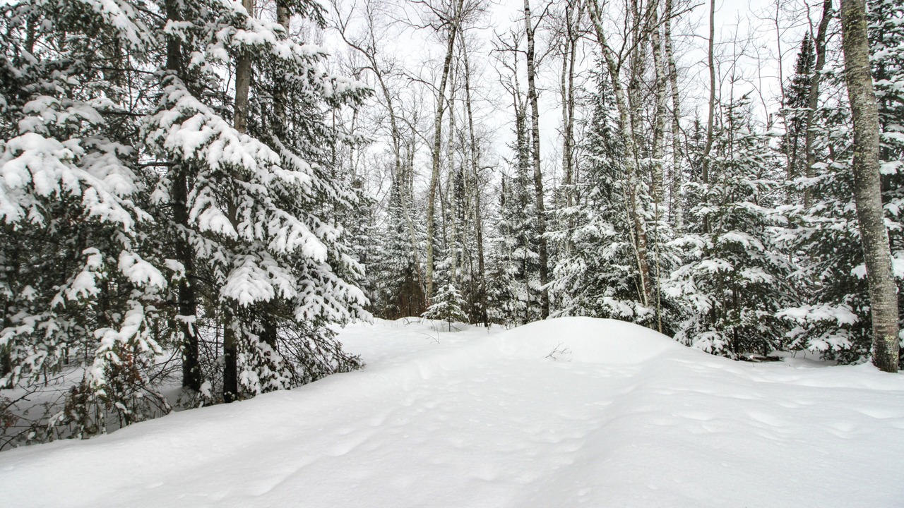Photo of Outdoor in Northeast Itasca
