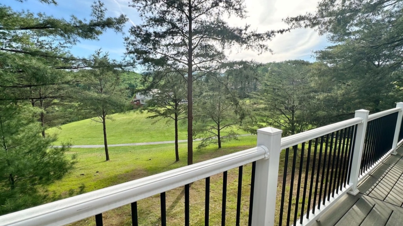 Photo of Outdoor in The Woods