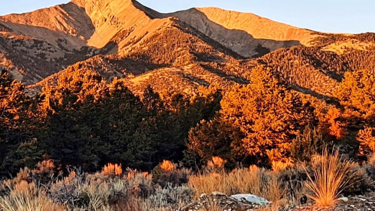 Photo of Others in Blanca