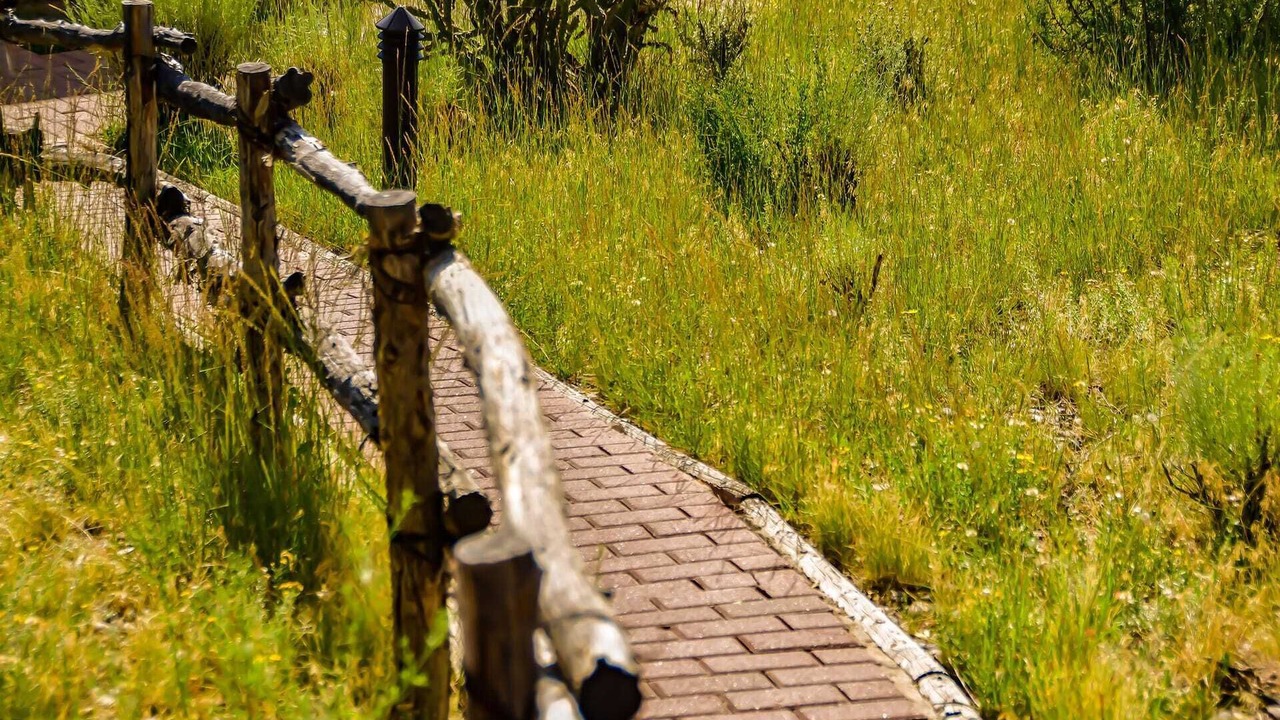 Photo of Others in Northeast Santa Fe