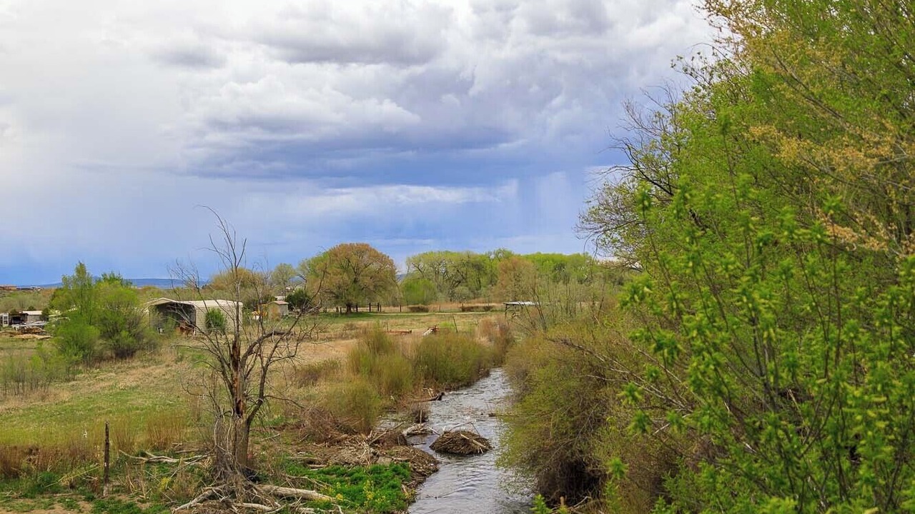Photo of Others in Taos