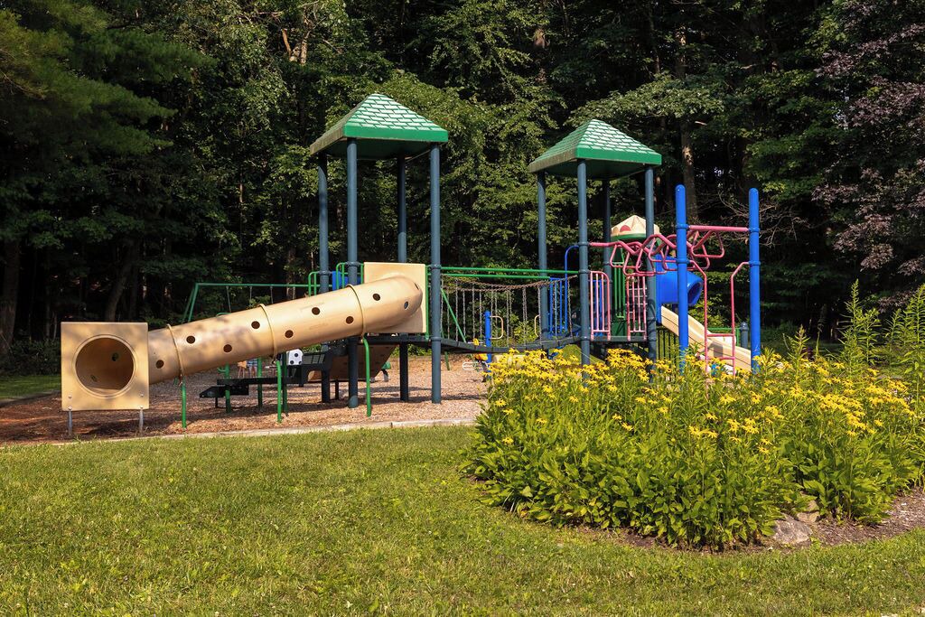 Photo of Others in Sandisfield