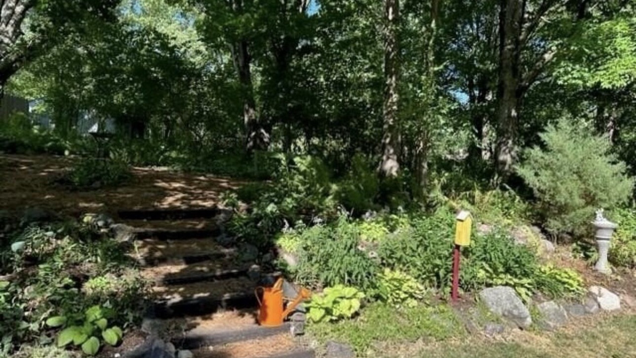 Photo of Outdoor in Baraboo