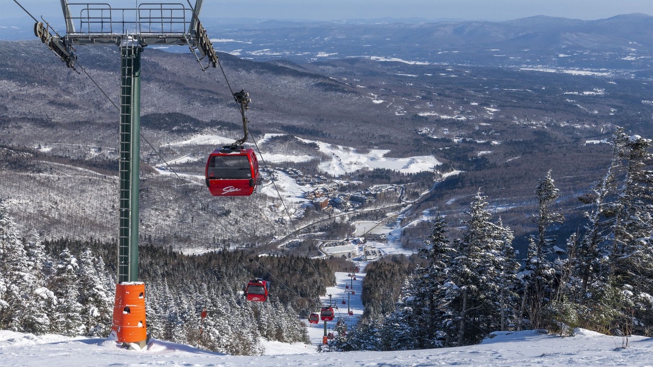 Photo of Others in Stowe Area