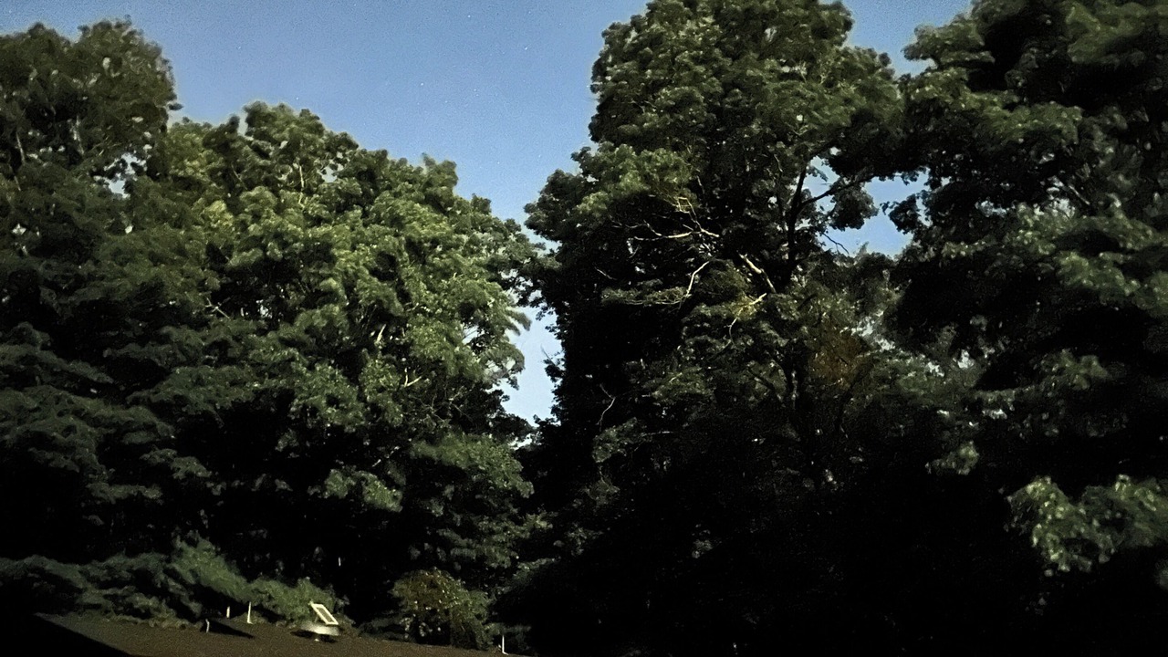 Photo of Outdoor in Canaan