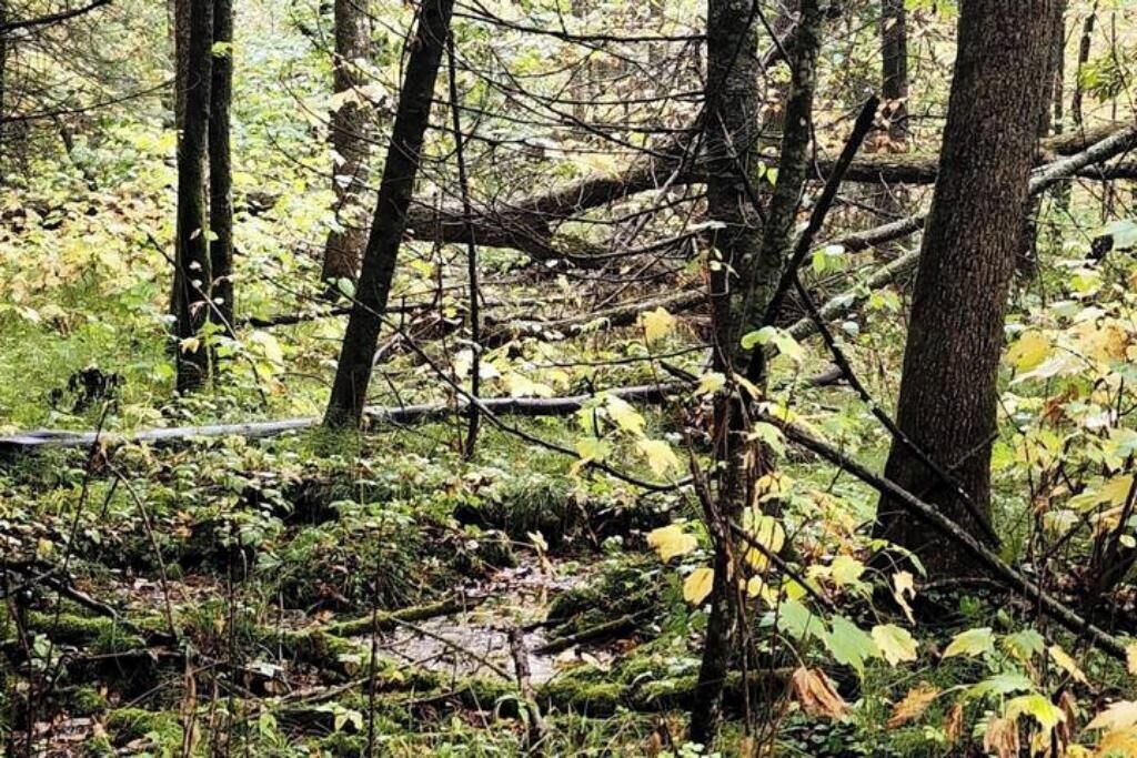 Photo of Others in Osage