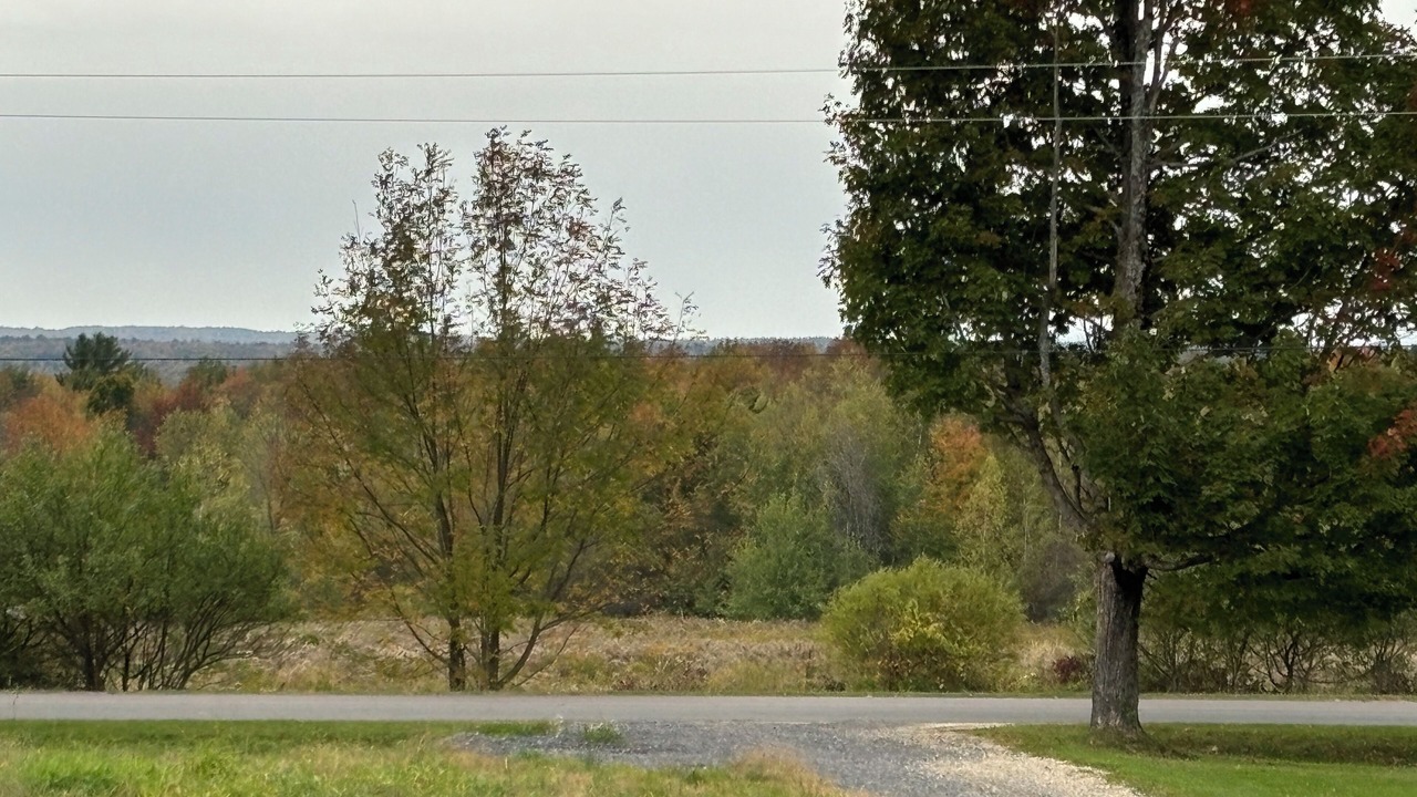 Photo of Others in Whippleville