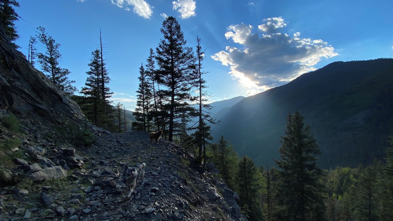 Photo of Others in Taos Ski Valley