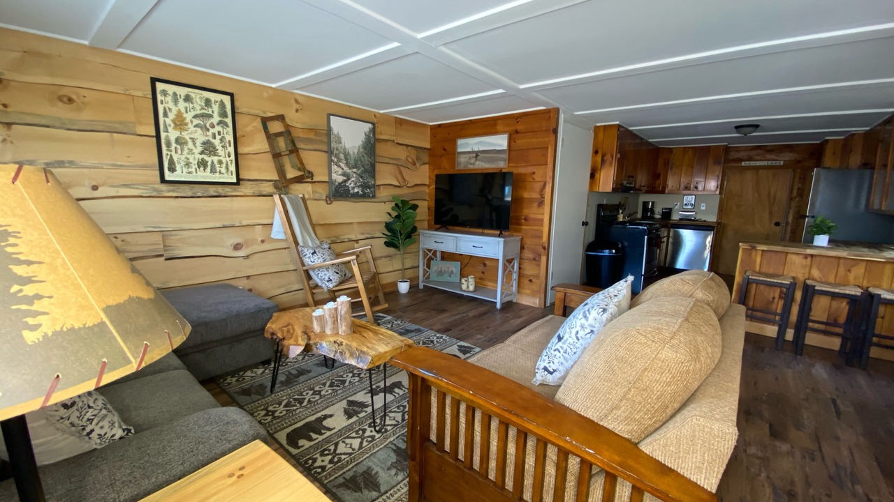 Photo of Livingroom in Indian Lake