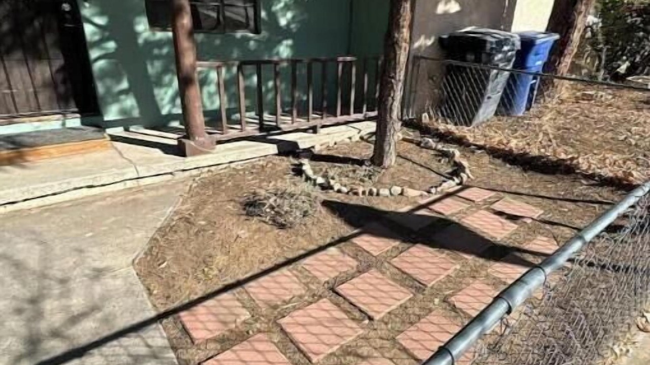Photo of Outdoor in El Prado
