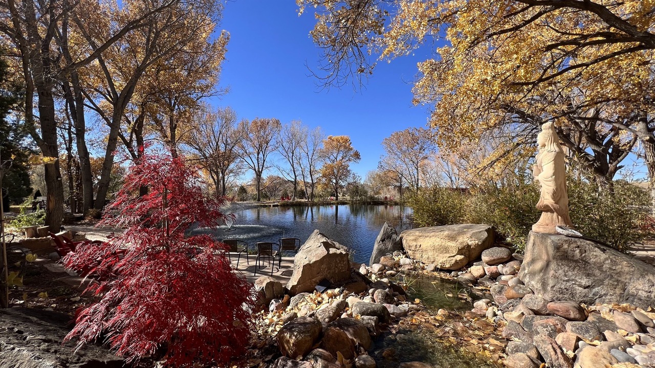 Photo of Outdoor in Lamy