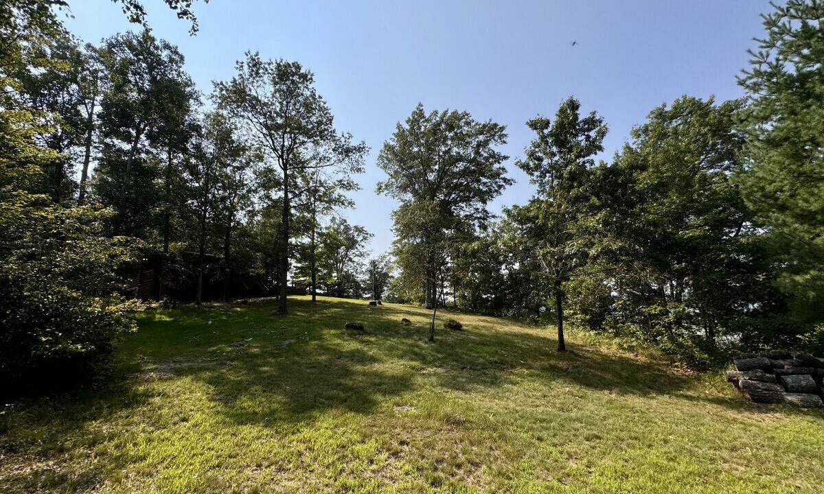 Photo of Others in Webb Lake
