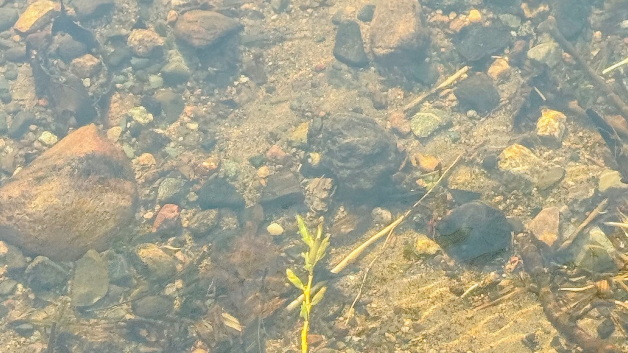 Photo of Outdoor in McGregor
