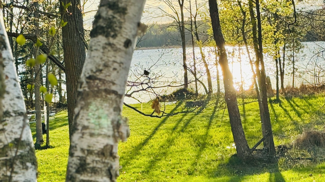 Photo of Outdoor in McGregor