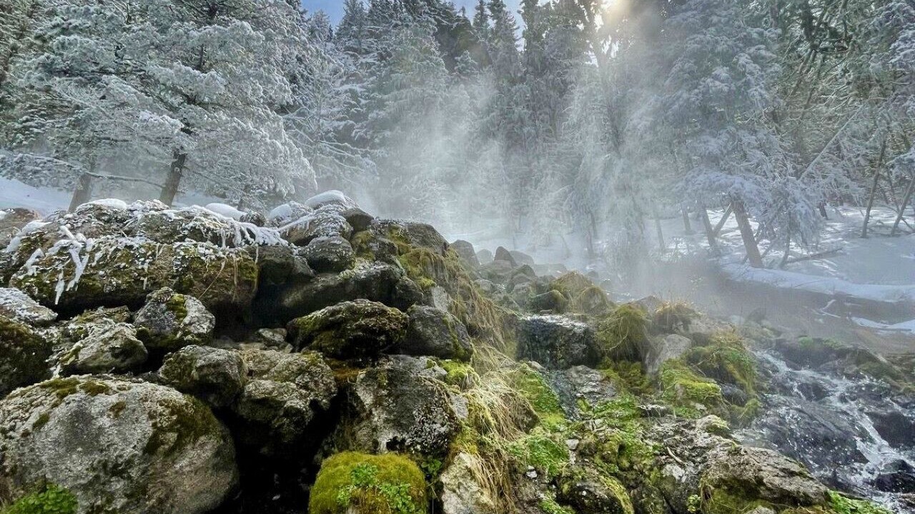 Photo of Others in Jemez Springs